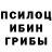 Псилоцибиновые грибы MAGIC MUSHROOMS Jasnoor Saini