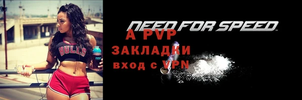 тгк Белая Холуница